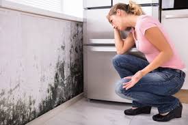 Best Residential Mold Inspection & Testing  in Clara City, MN